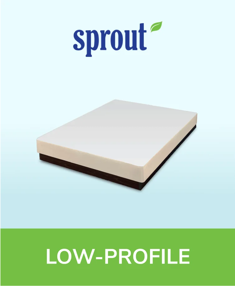 Low-profile Sprout box spring with a dark gray upholstered finish