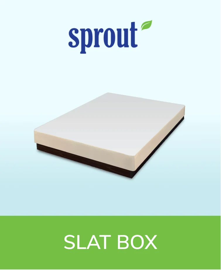 Sprout Slat Box spring featuring wooden slats for mattress support